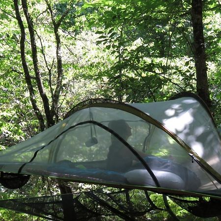Tente Suspendue Au Coeur De La Foret Sainte-Croix-Volvestre Eksteriør billede